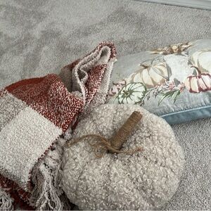 Cozy Textured Throw Blanket, and two fall pillowsx